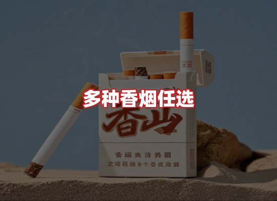 专业团队